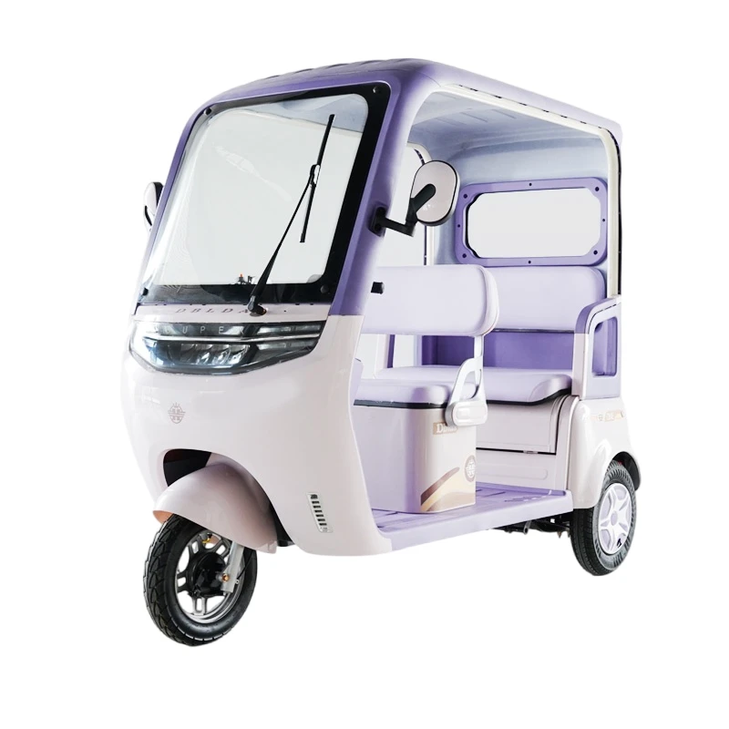 2026 China Electric Tricycle With Roof manufacturers