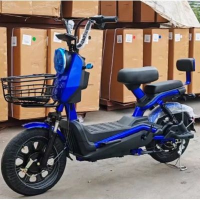 Commercial Electric Cargo Bike