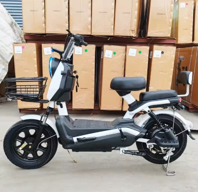 Electric Bicycle High-Speed Long-Range Adult Model best