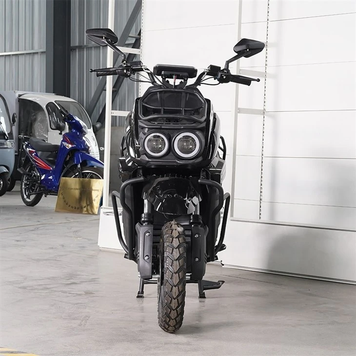 E Bike Motorcycle for Adult3