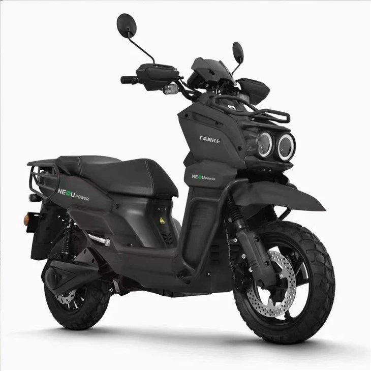 E Bike Motorcycle for Adult4