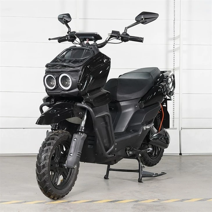 E Bike Motorcycle for Adult1