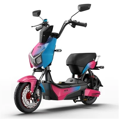 800w Electric Motorcycle For Adults