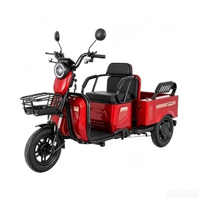 Addmotor Citytri E-310 Electric Tricycle