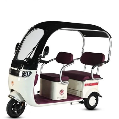 3 wheel bike for adults