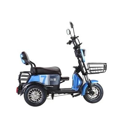 2 person adult tricycle