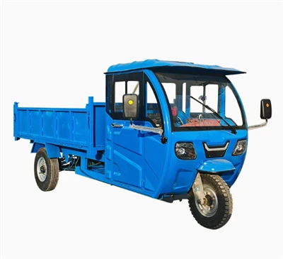 3 speed tricycle bike