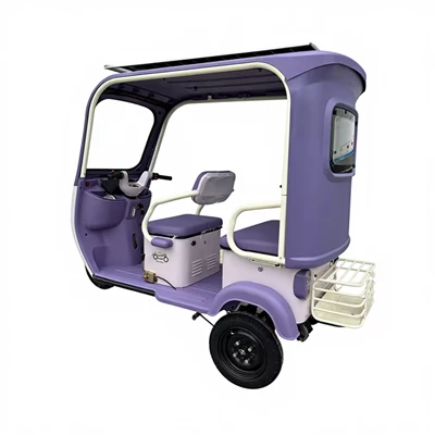 adult bike tricycle