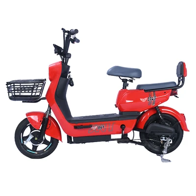 tricycle for adults motorized