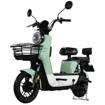 Long Distance Electric Bicycle 1000W Powerful Off‑Road E‑Bike For Adult Wholesale Bulk Order