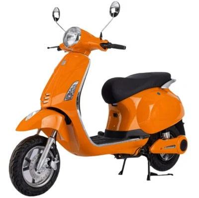 Motorcycle Electric Bike