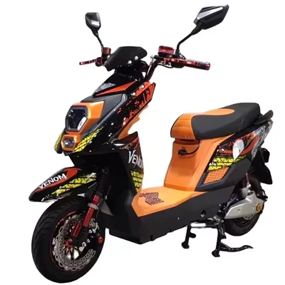 Off-road Electric Moto Bike